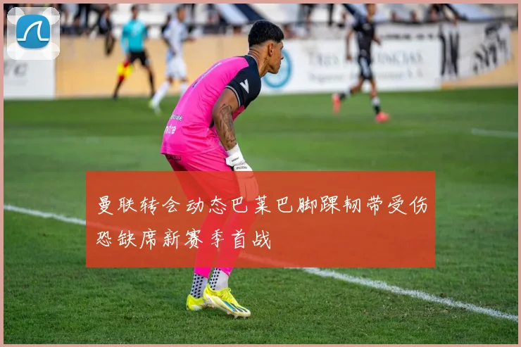 曼联转会动态巴莱巴脚踝韧带受伤恐缺席新赛季首战