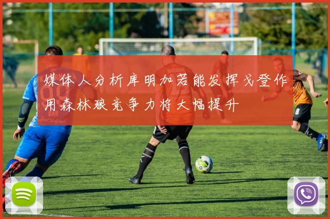 媒体人分析库明加若能发挥戈登作用森林狼竞争力将大幅提升