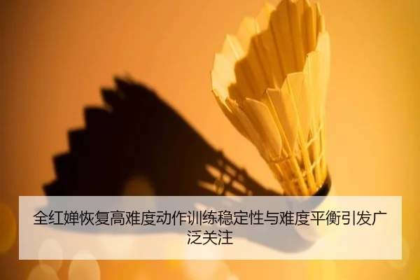 全红婵恢复高难度动作训练稳定性与难度平衡引发广泛关注